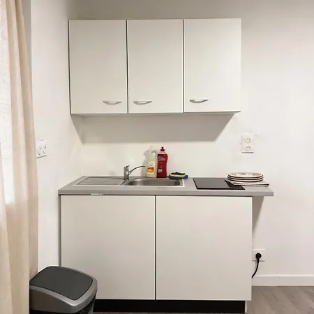 公寓 Deluxe Renovated Apartment, Comfort & Style In Mulhouse City Center *