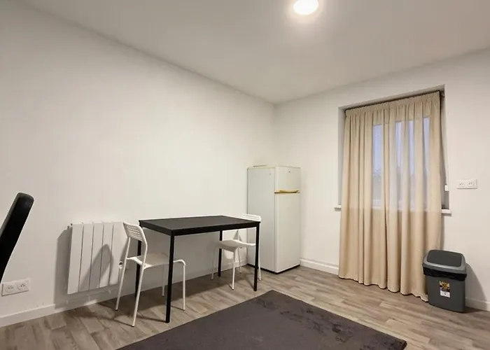 公寓 Deluxe Renovated Apartment, Comfort & Style In Mulhouse City Center 牟罗兹
